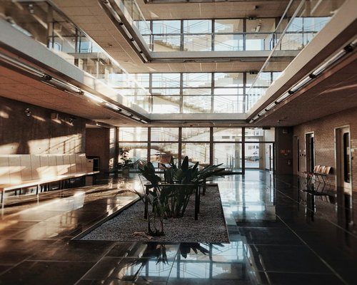 A modern bright office interior with plants in Warsaw